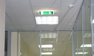Стандартный width=